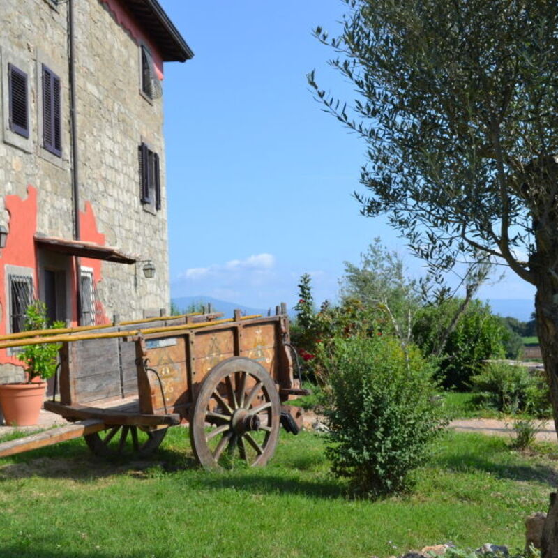 Country House Style - Montefiascone, Lazio: Autumn, Building Exterior, Spring, Summer