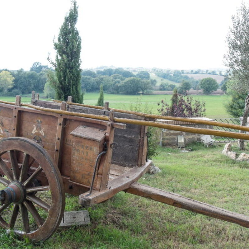 Country House Style - Montefiascone, Lazio: Autumn, Building Exterior, Spring, Summer