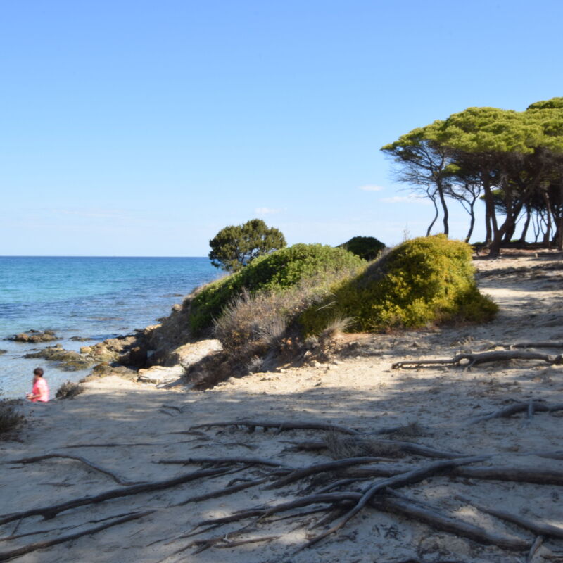 Villa Helios - Budoni, Sardegna: Attività, Autunno, Estate, Primavera
