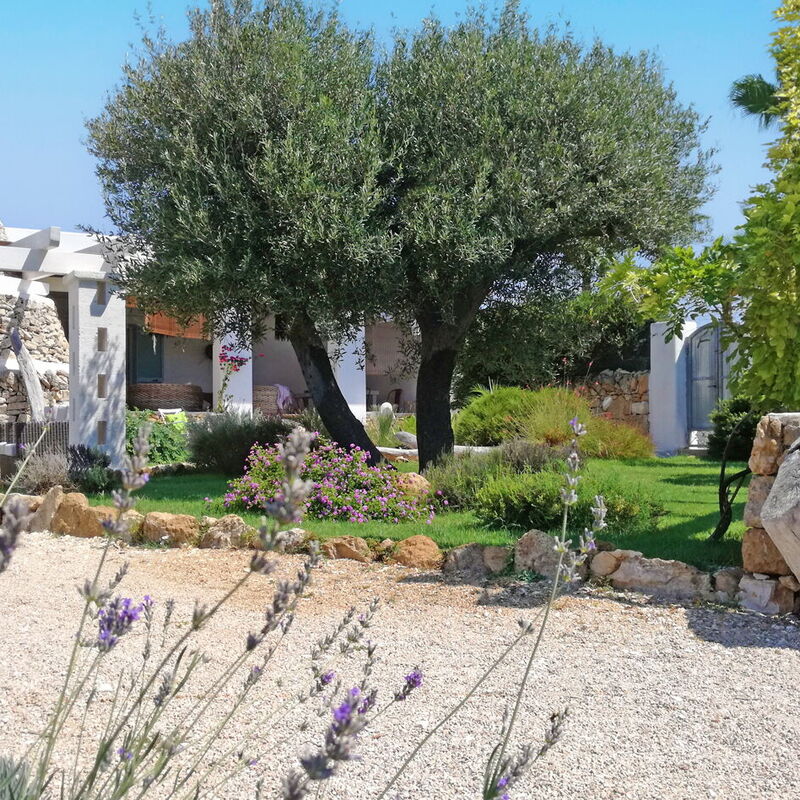Villa Trullo - Torricella, Puglia: Autumn, Balcony / Terrace / Patio, Building Exterior, Garden, Outdoor, Spring, Summer