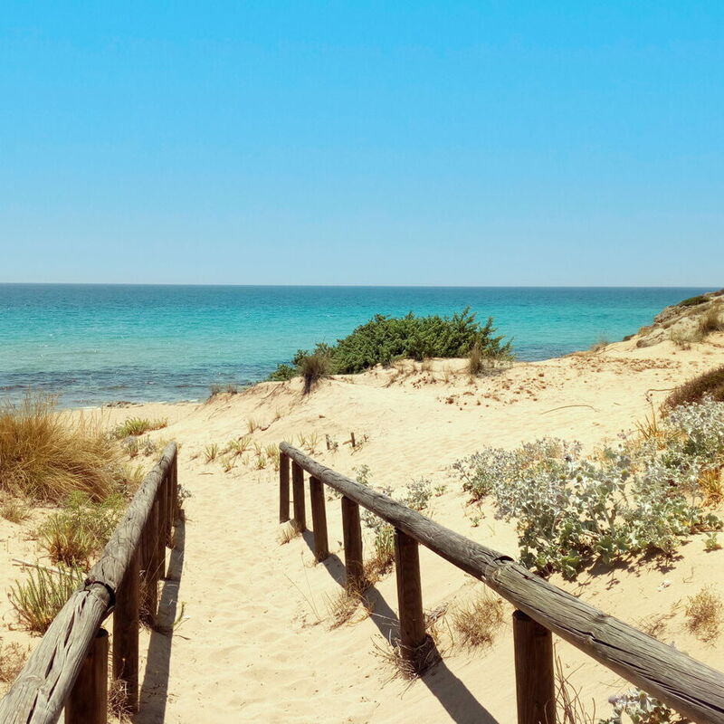 Villa Trullo - Torricella, Puglia: Amenities, Autumn, Building Exterior, Outdoor, Spring, Summer
