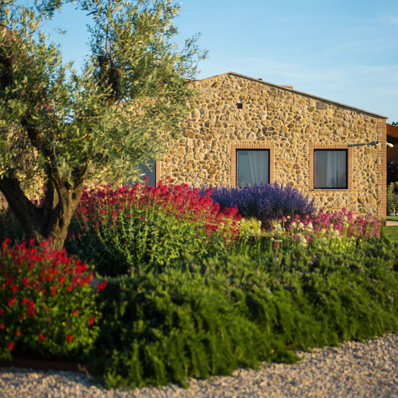 Villa Velari In Volterra With Private Pool, Ac: Automne, Été, Jardin, Printemps